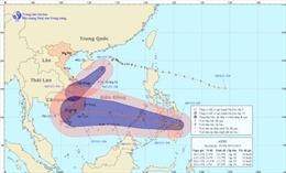 Áp thấp nhiệt đới lại xuất hiện gần Biển Đông